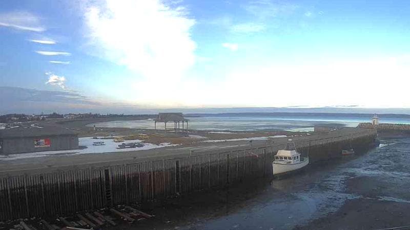 Belliveau Cove Harbour