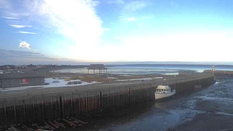 Belliveau Cove Harbour