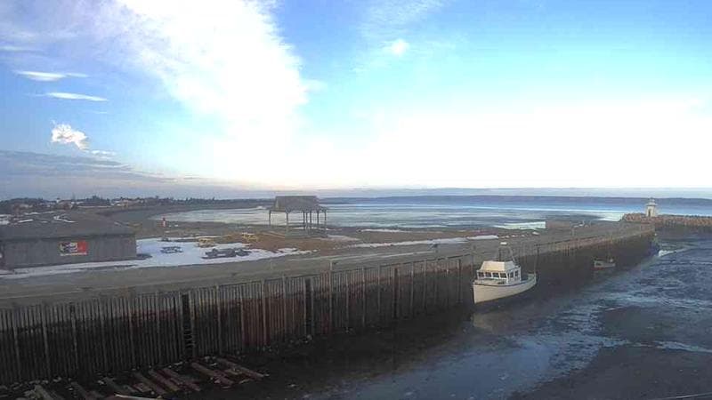 Belliveau Cove Harbour