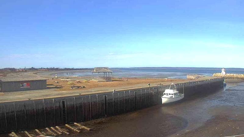 Belliveau Cove Harbour