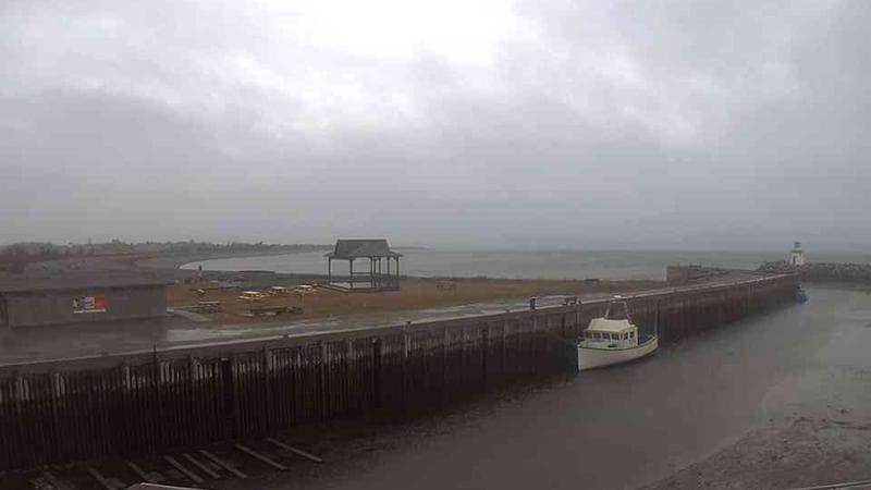 Belliveau Cove Harbour