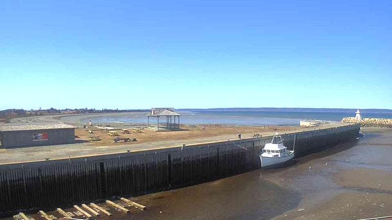 Belliveau Cove Harbour