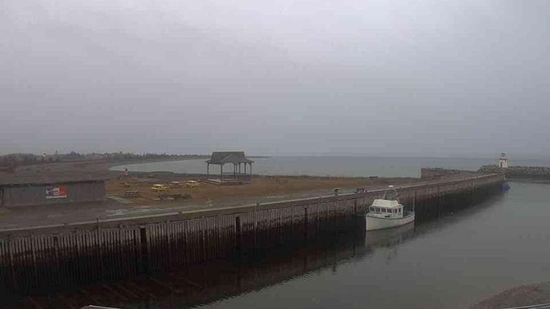Belliveau Cove Harbour