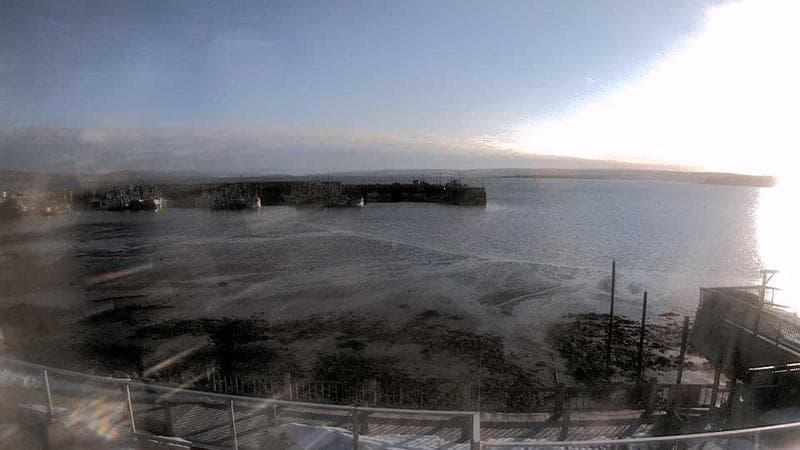 Digby Harbour