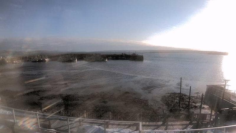 Digby Harbour