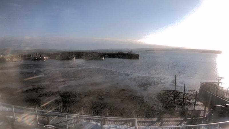Digby Harbour
