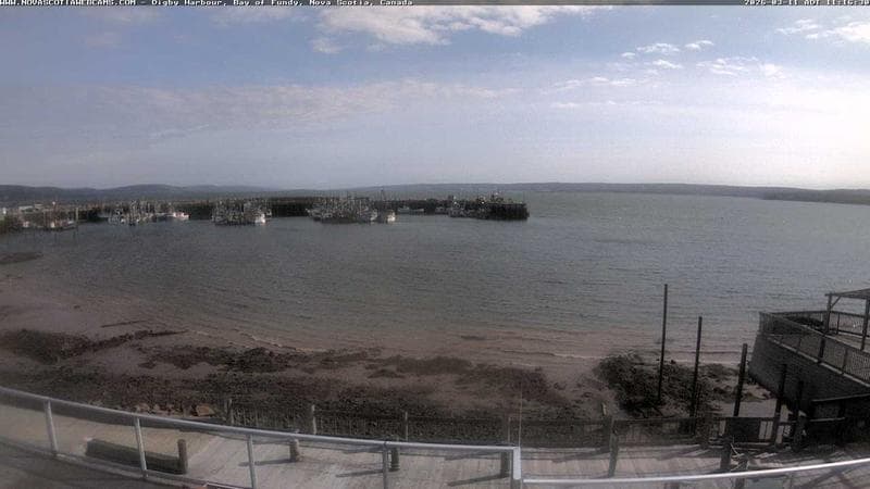 Digby Harbour