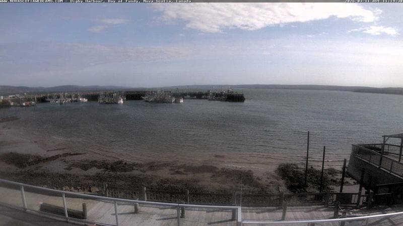 Digby Harbour