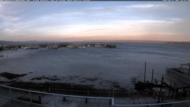 Digby Harbour