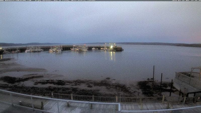 Digby Harbour