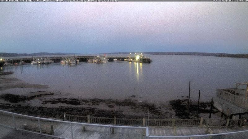 Digby Harbour