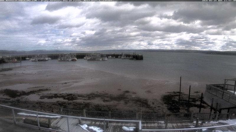 Digby Harbour