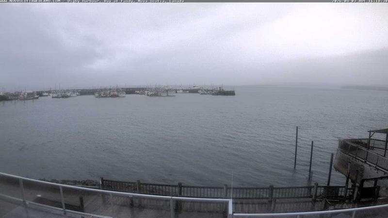 Digby Harbour