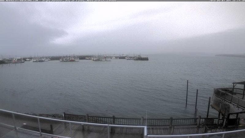Digby Harbour