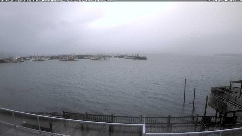 Digby Harbour