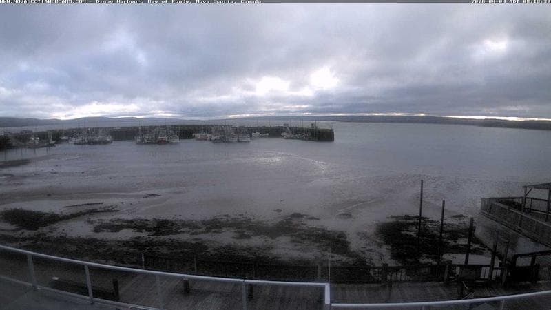 Digby Harbour