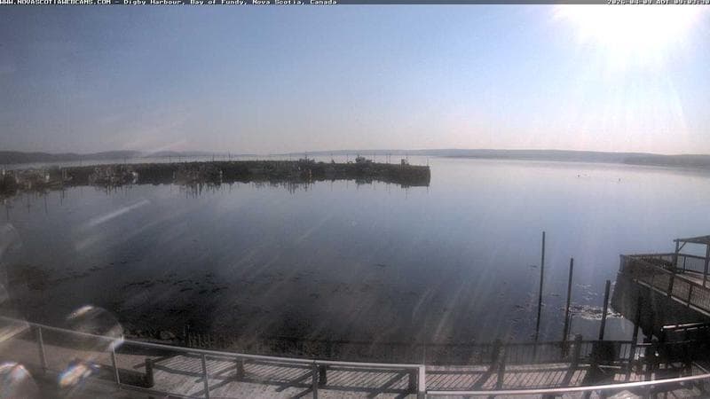 Digby Harbour