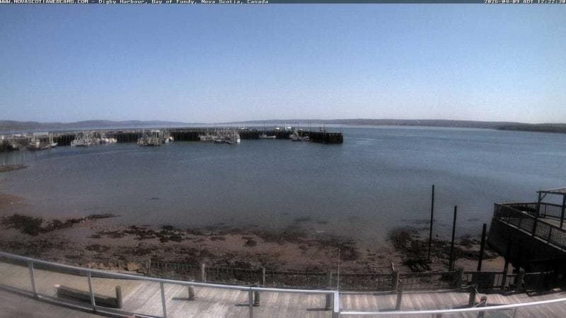 Digby Harbour