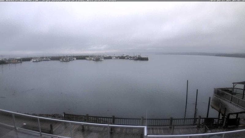 Digby Harbour