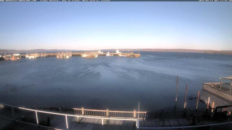 Digby Harbour