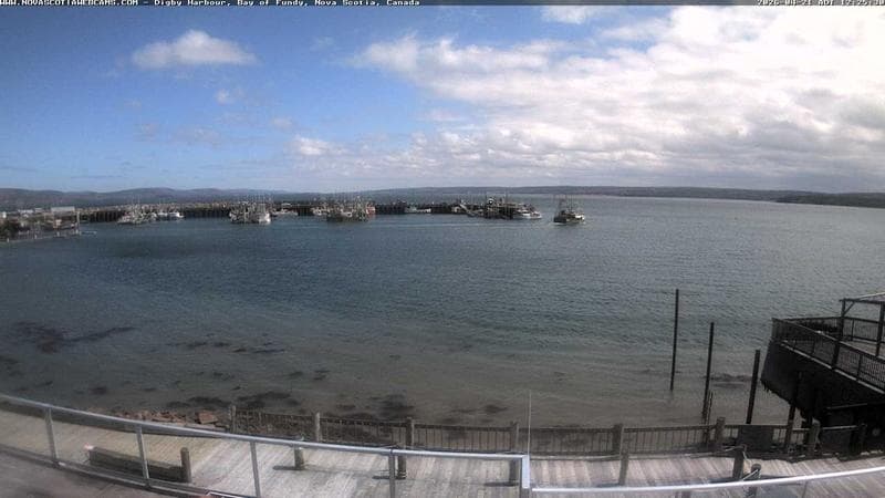 Digby Harbour