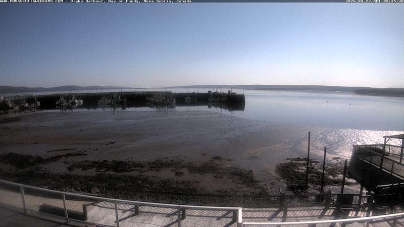Digby Harbour
