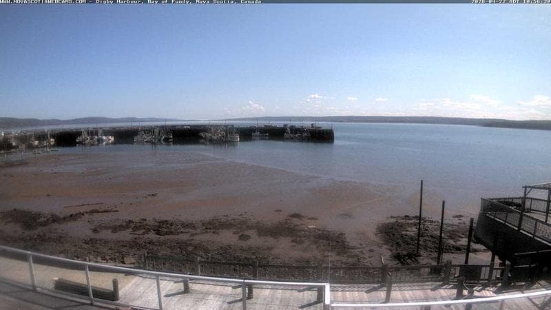 Digby Harbour