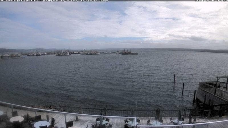 Digby Harbour
