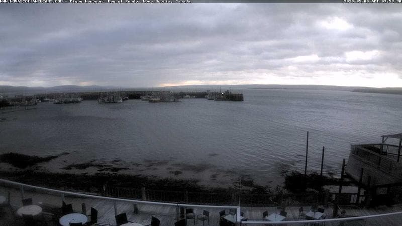 Digby Harbour