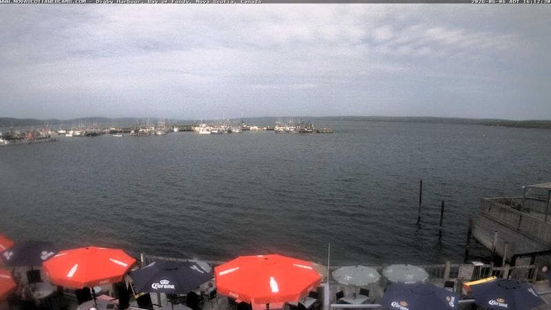 Digby Harbour