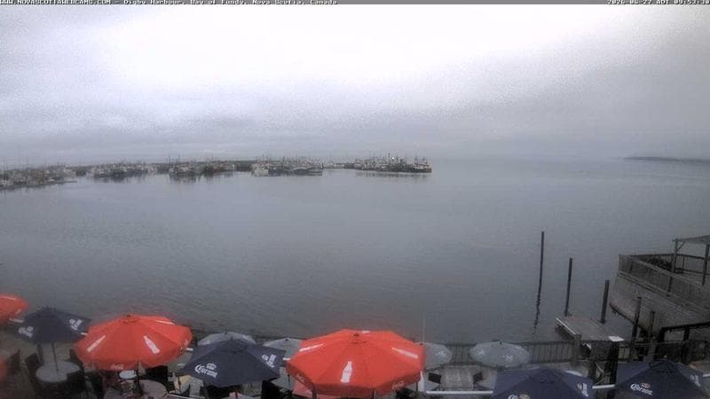 Digby Harbour