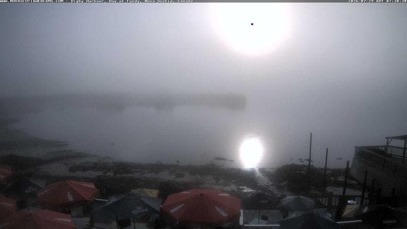 Digby Harbour
