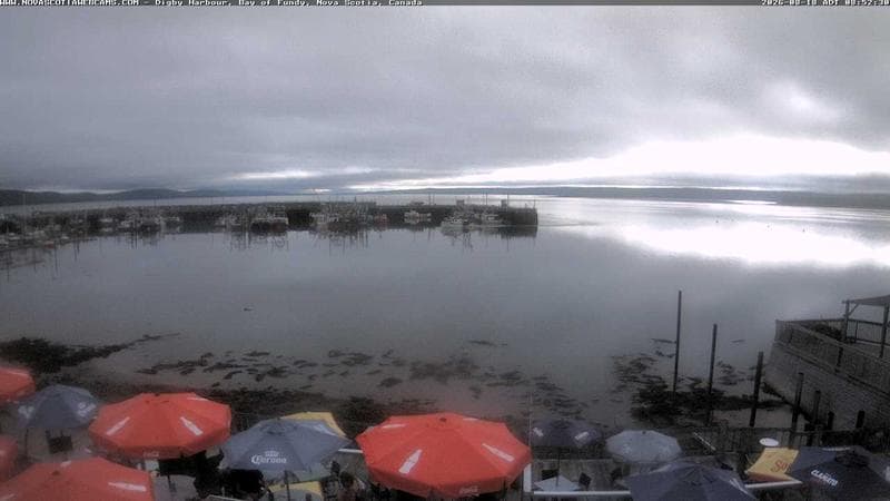 Digby Harbour