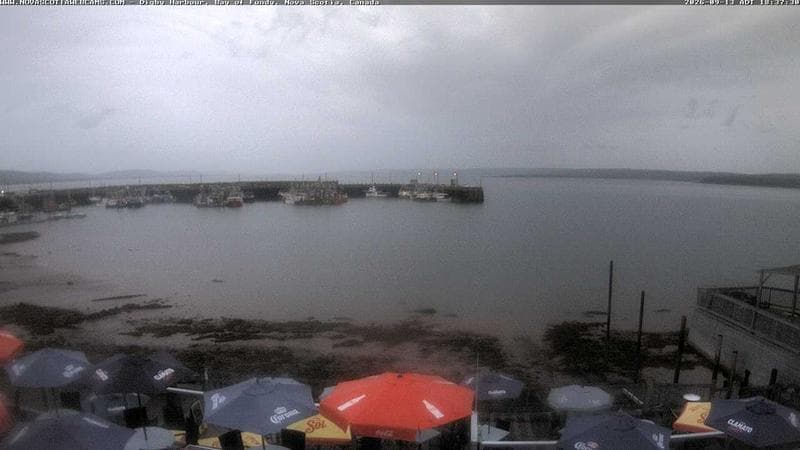 Digby Harbour