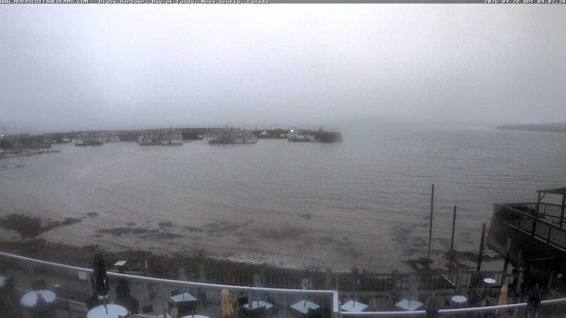 Digby Harbour