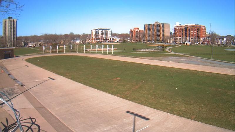 Emera Oval