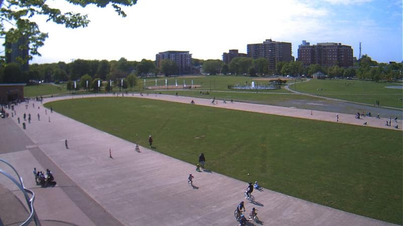 Emera Oval