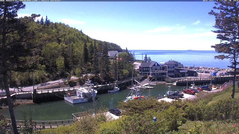 Hall's Harbour