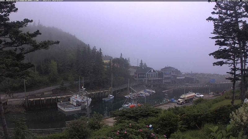 Hall's Harbour