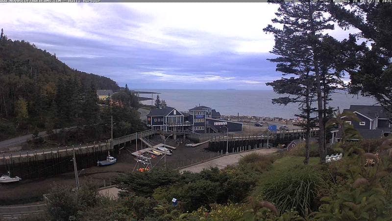 Hall's Harbour