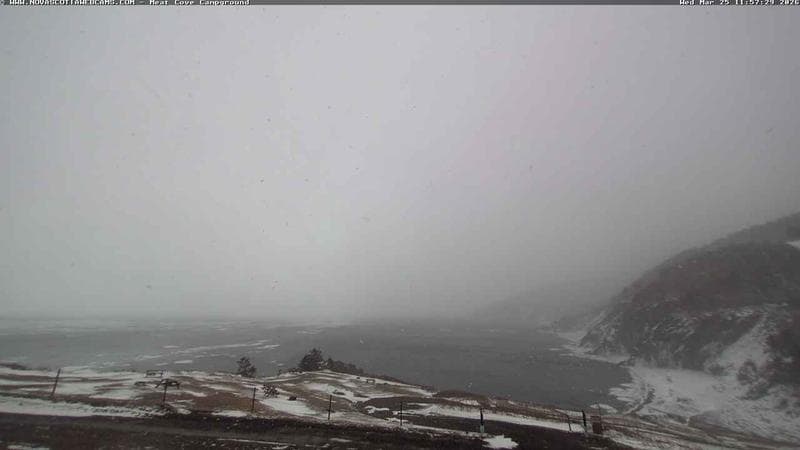 Meat Cove Campground