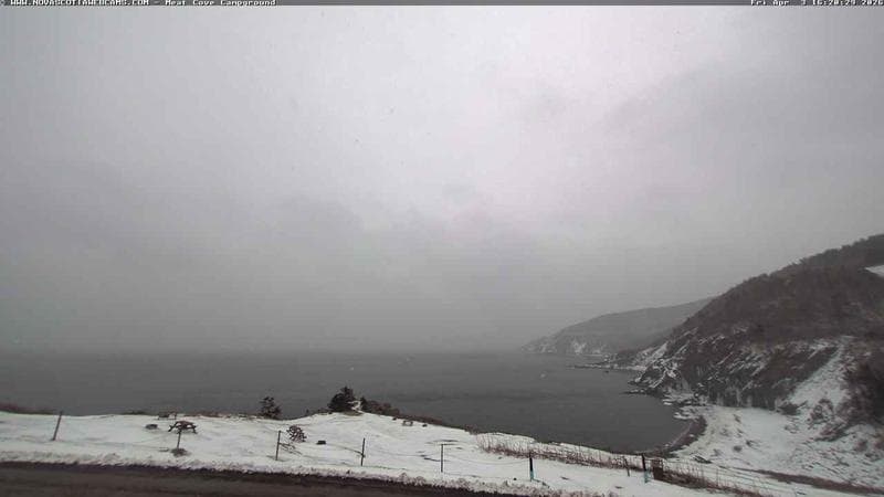 Meat Cove Campground