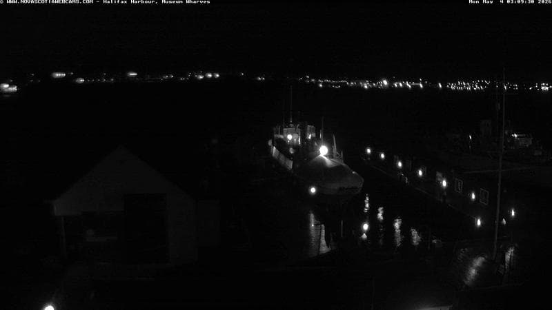Museum Wharves