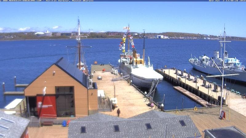 Museum Wharves