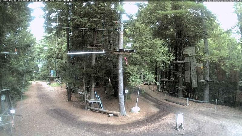 Ontree Park