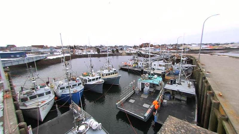 Lobster Rock Wharf East