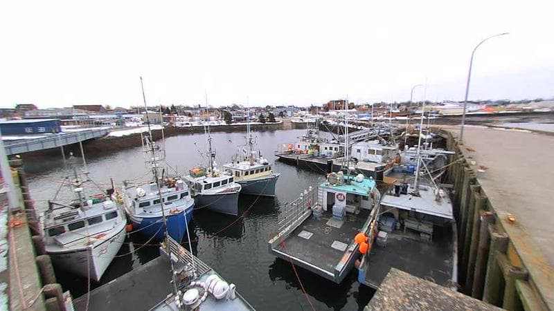 Lobster Rock Wharf East