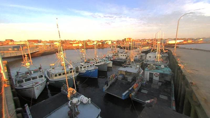 Lobster Rock Wharf East