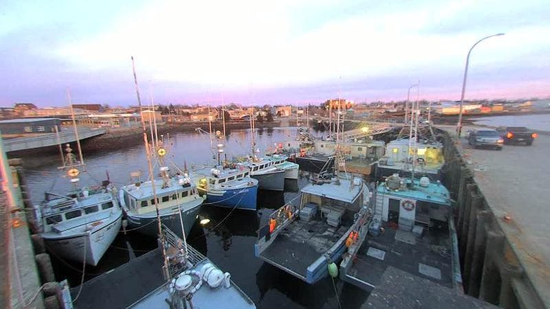 Lobster Rock Wharf East