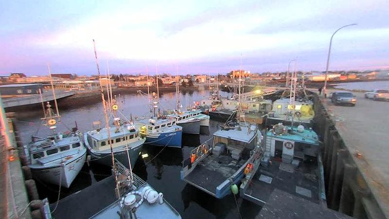Lobster Rock Wharf East